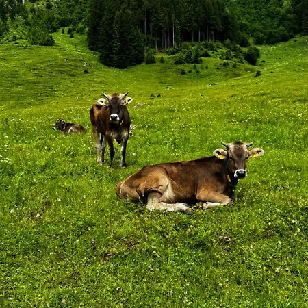Appartement House Of Barango