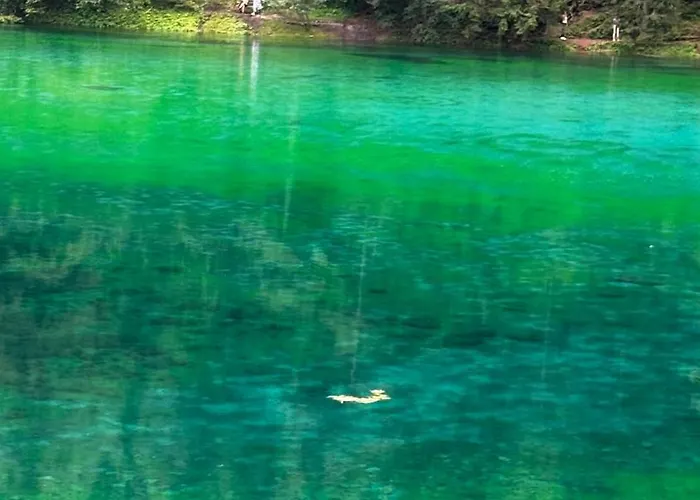 House Of Barango Apartment