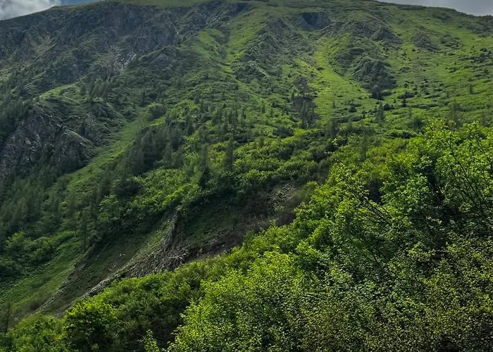 House Of Barango * Prabichl