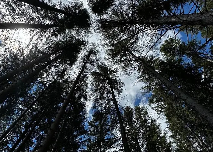 House Of Barango Präbichl