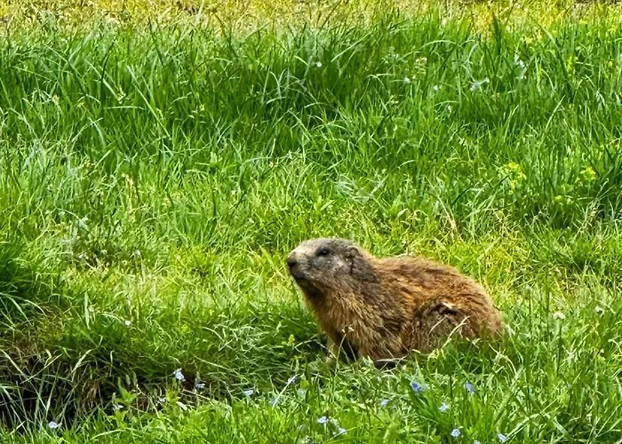 House Of Barango Apartment Prabichl