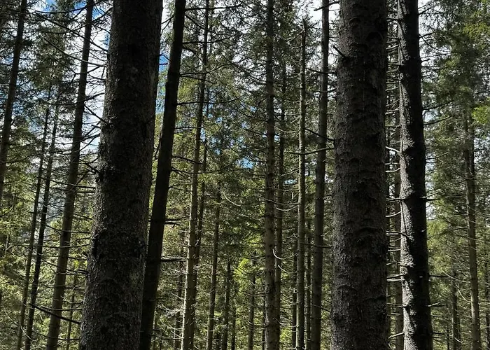 House Of Barango Apartment *